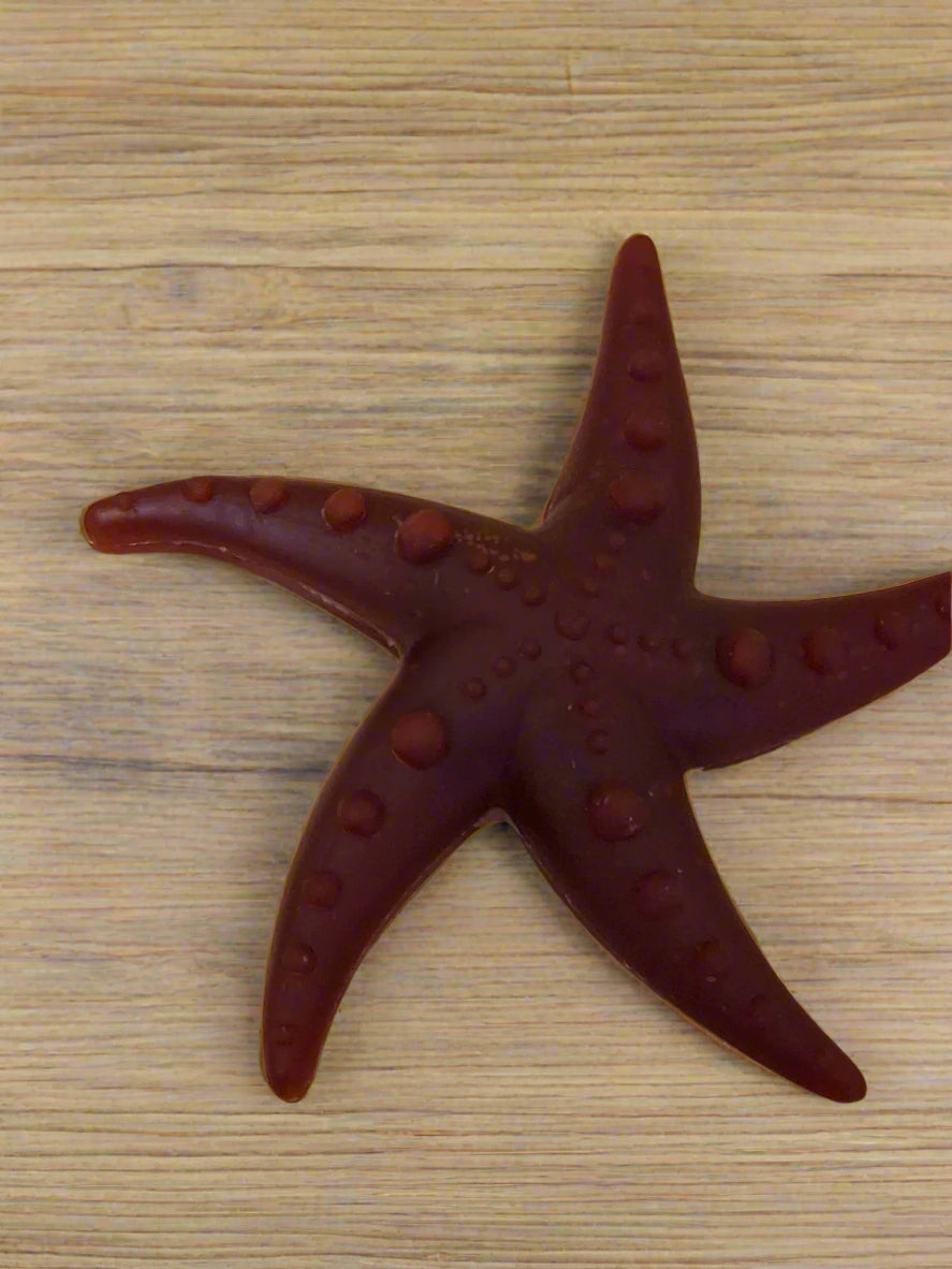 Apple and Mint Starfish Chew