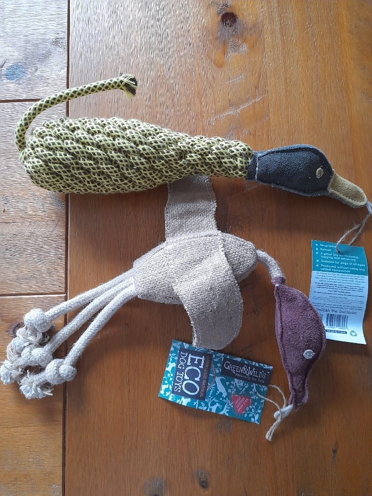 Duck Toys