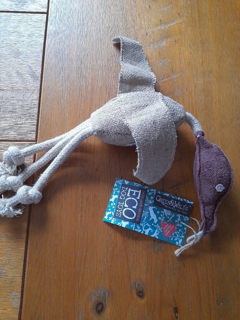Duck Toys