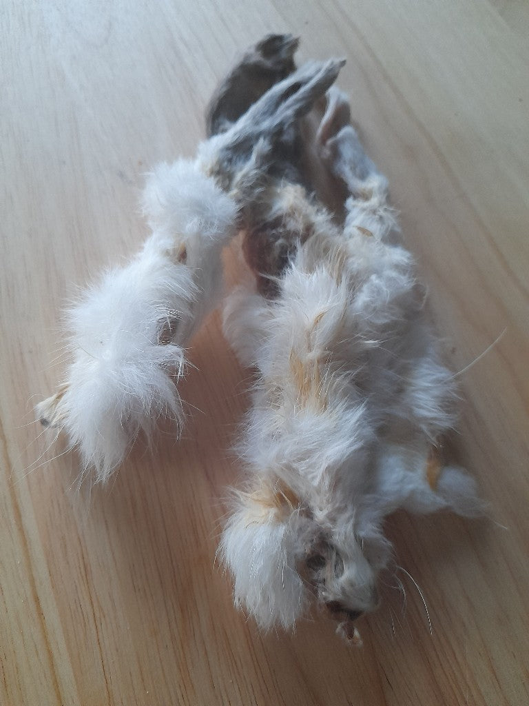 Rabbit Ears Hairy