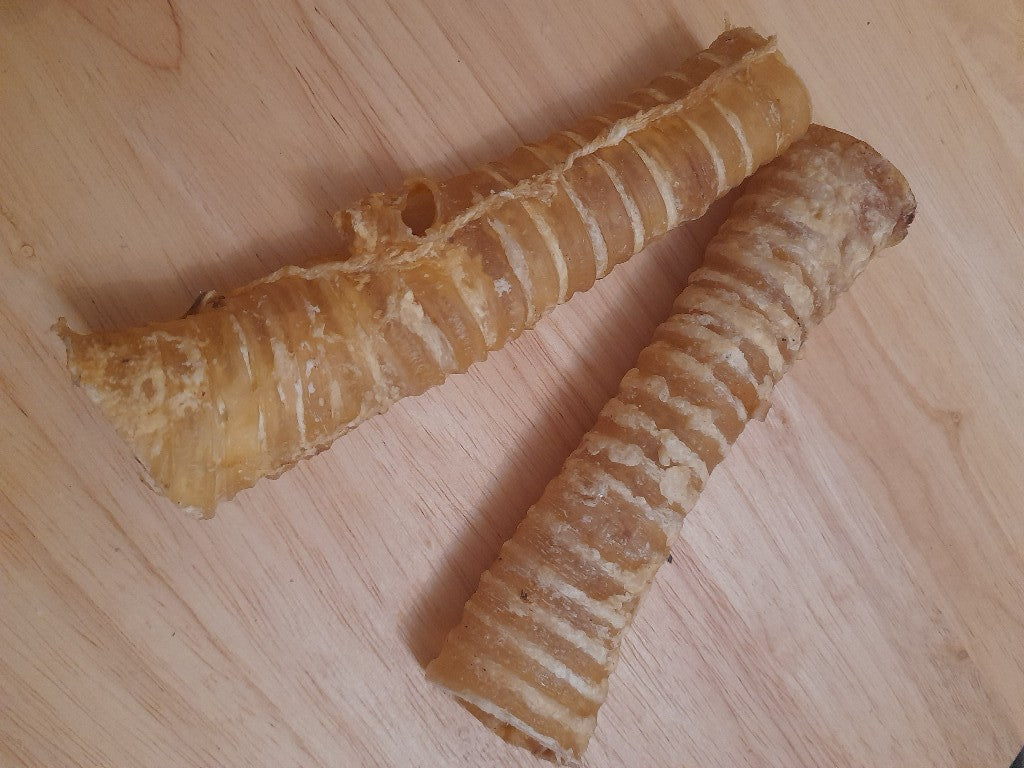 Cut Trachea